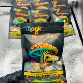 Buy Magic Mushroom